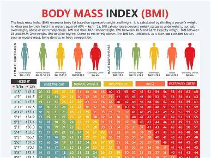 164cm 53kgは痩せ型？BMI・見た目・健康の目安を丁寧に解説